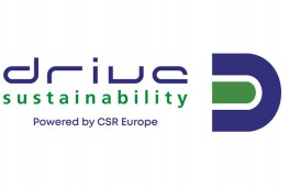 Drive Sustainability logo, 2026